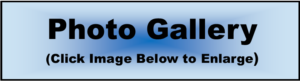 Photo Gallery